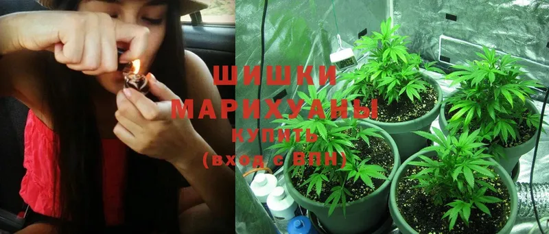 Марихуана LSD WEED  где найти   Верхоянск 